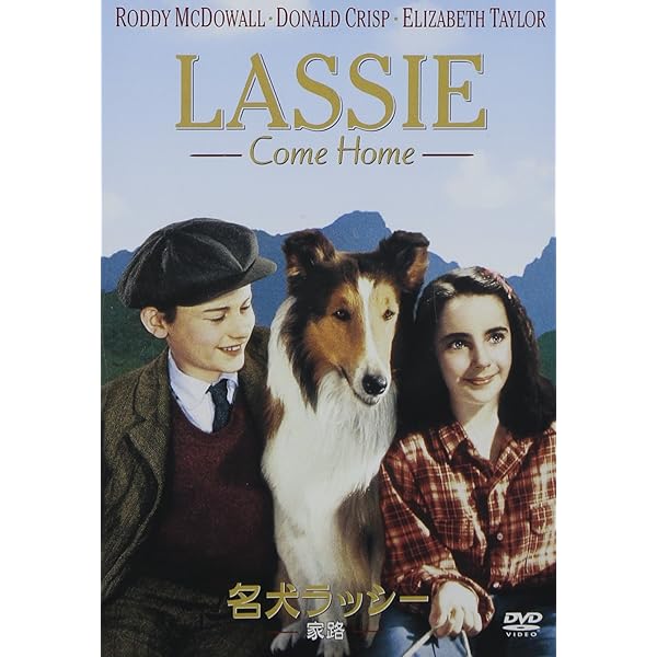 Amazon.co.jp: 名犬ラッシー / ラッシーの息子 [DVD] : ピーター